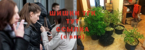 мескалин Гусев