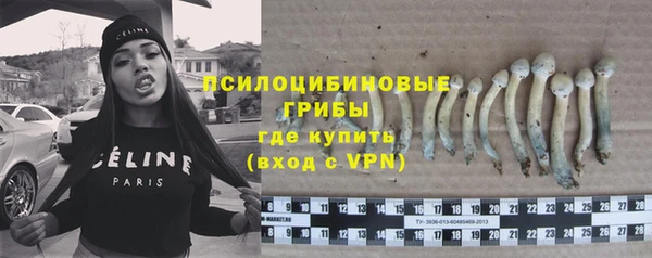 мескалин Гусев