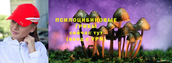 ALPHA PVP Гусиноозёрск