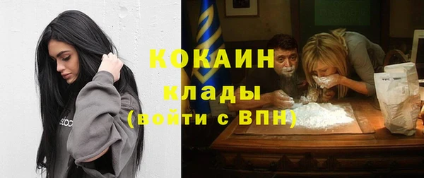 крисы Гусь-Хрустальный