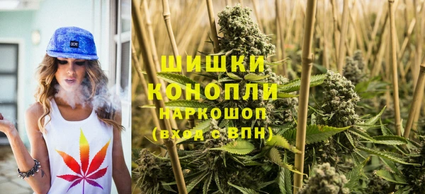 крисы Гусь-Хрустальный
