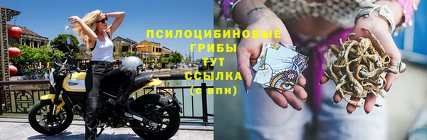 мескалин Гусев