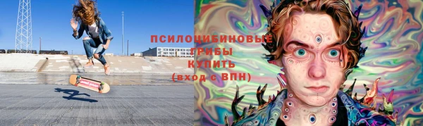 крисы Гусь-Хрустальный