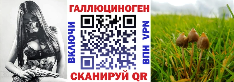 ОМГ ОМГ ССЫЛКА  наркота  Елизово  Псилоцибиновые грибы Cubensis 